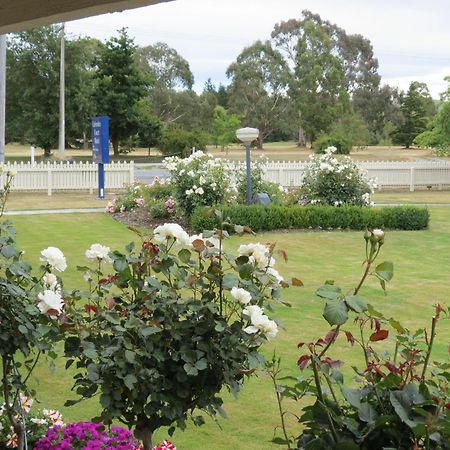 Culverden Court Motel Exterior foto